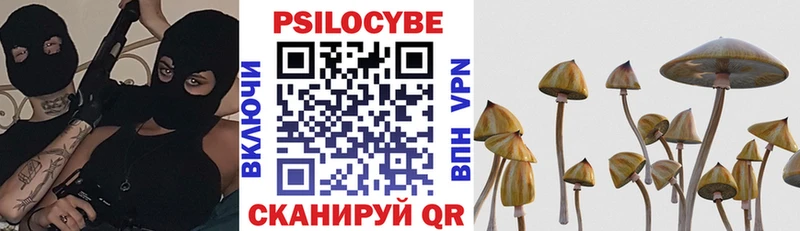 где найти наркотики  Долгопрудный  Псилоцибиновые грибы MAGIC MUSHROOMS 