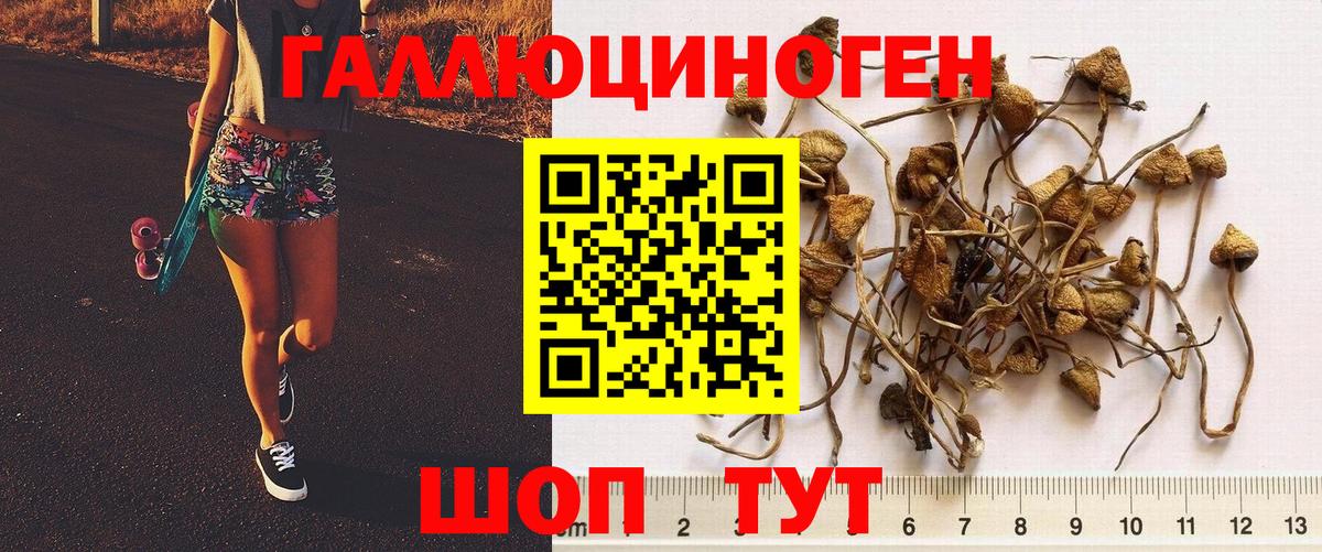 Долгопрудный  Псилоцибиновые грибы Magic Shrooms  Вход с VPN  Галлюциногенные грибы Psilocybe 