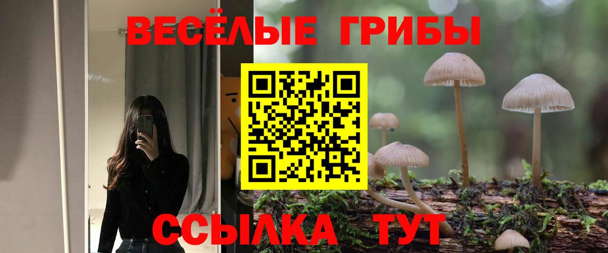 Галлюциногенные грибы Magic Shrooms Долгопрудный
