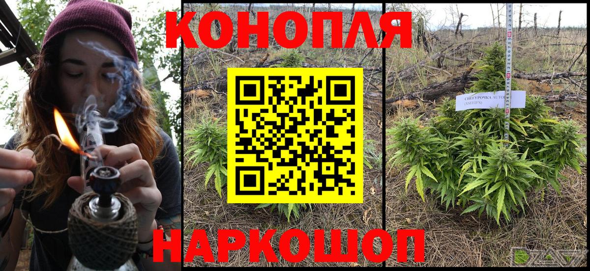 Канабис ГИДРОПОН Долгопрудный